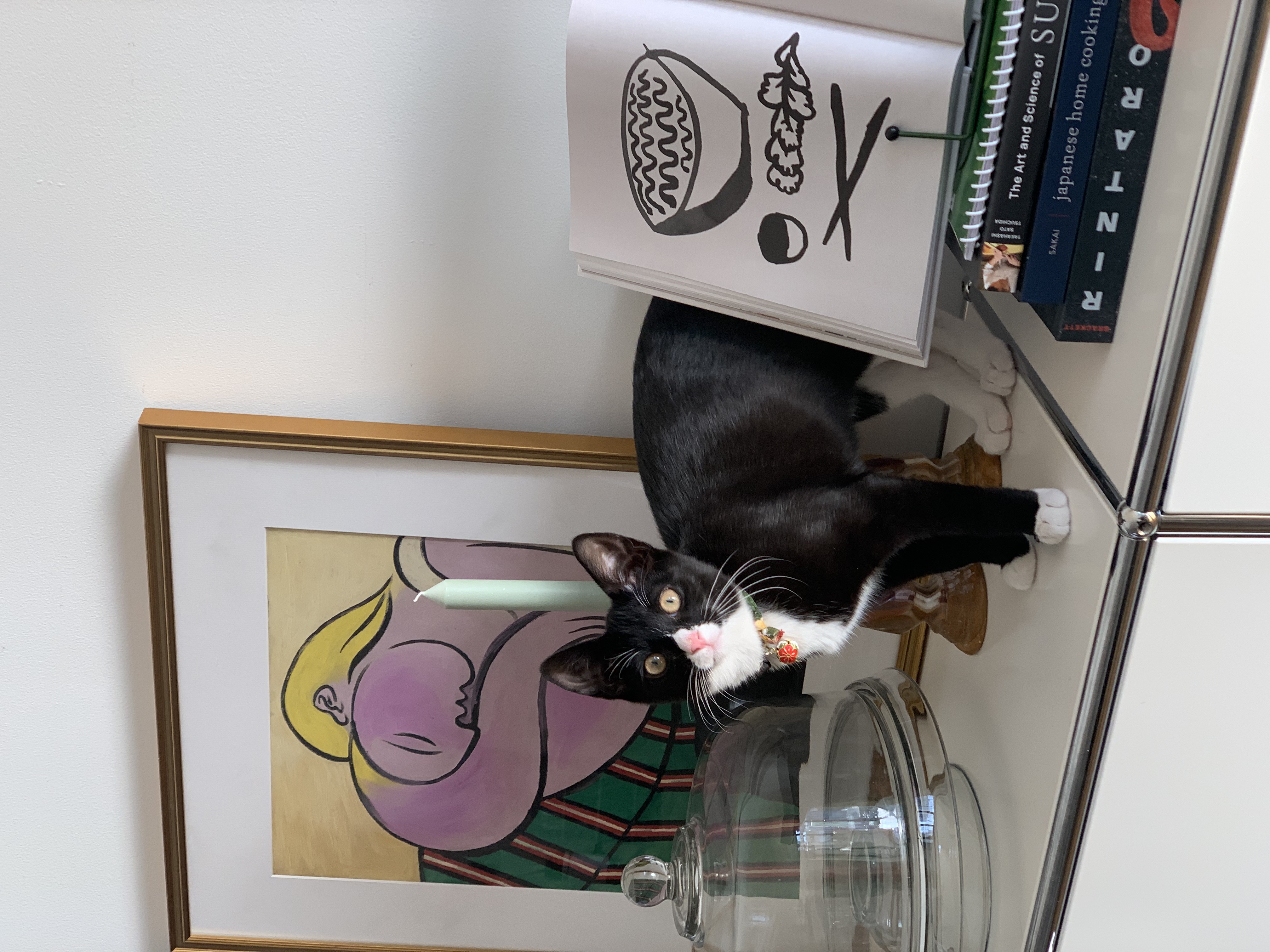 Boots, tuxedo cat on buffet table