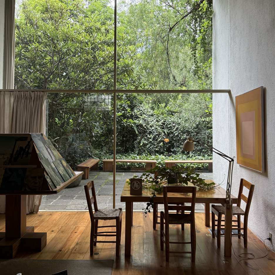 Sunlit living room with garden view in Mexico City