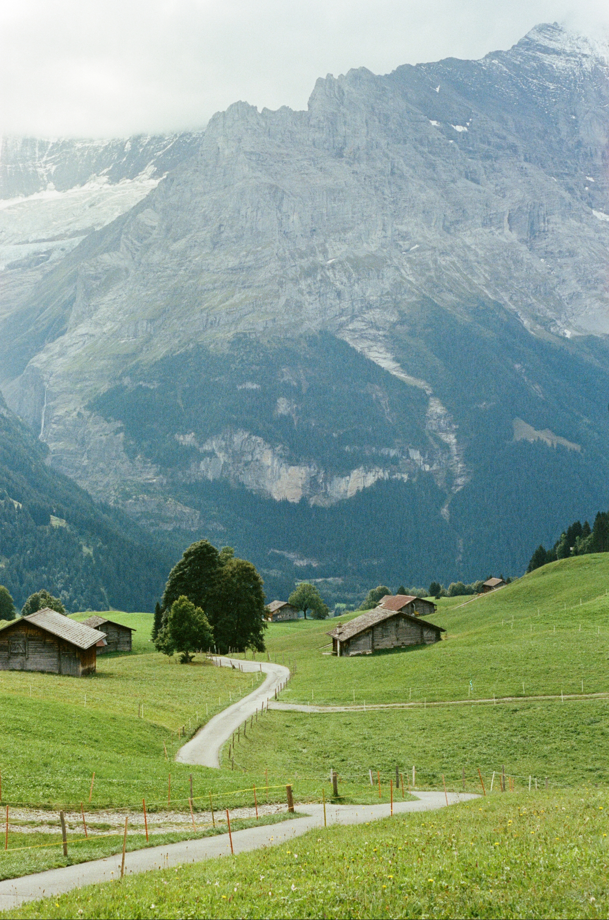 Alpine valley with wooden chalets and a winding path